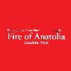 the legendary dance show fire of anatolia anadolu ateşi mustafa erdoğan logosu