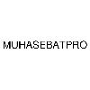 muhasebatpro logosu