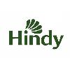 hindy logosu