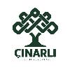 çınarlı eğitim kurumları logosu