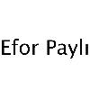 efor paylı logosu