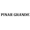 pınar grande logosu
