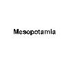 mesopotamia logosu