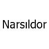 narsıldor logosu