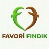 favori fındık logosu