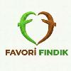 favorifındık logosu