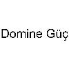 domine güç logosu