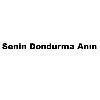 senin dondurma anın logosu