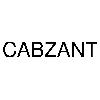 cabzant logosu