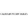caddebostan teras logosu