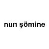 nun şömine logosu