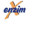 enzim x logosu