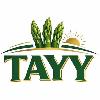 tayy logosu