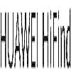 huawei hifind logosu