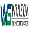 ws winsok semiconductor logosu
