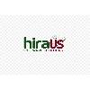hiraus software solutions logosu