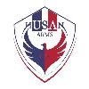 husan arms usa logosu