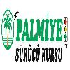palmiye sürücü kursu logosu