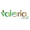 valeria vadi logosu