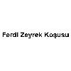 ferdi zeyrek koşusu logosu