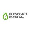 bobinsan bobinaj logosu
