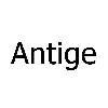 antige logosu