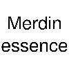 merdin essence logosu