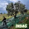 indağ logosu
