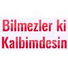 bilmezler ki kalbimdesin logosu