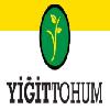 yiğittohum logosu
