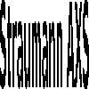 straumann axs logosu