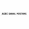 aizec sanal postane logosu