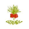 germike  logosu