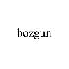 bozgun logosu