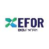 efor enerji yatırım logosu