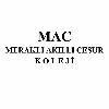 mac meraklı akıllı cesur koleji logosu