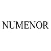 numenor logosu