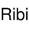 ribi logosu