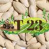 t23 logosu