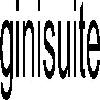ginisuite logosu