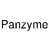 panzyme logosu