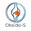 obsido-s logosu