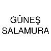 güneş salamura logosu