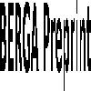 berga preprint logosu