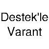 destek'le varant logosu