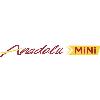 anadolu mini logosu