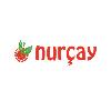 nurçay logosu