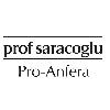 prof saracoglu pro-anfera logosu