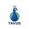 tavus logosu