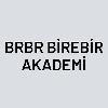 brbr birebir akademi logosu